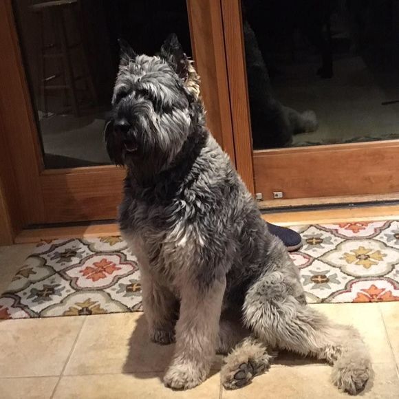 Meet your Posher, Michelle - Picture 1 of 1